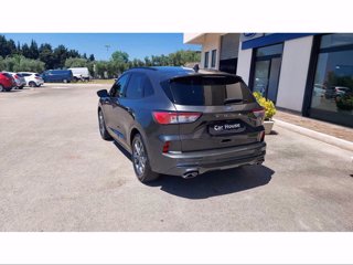 FORD Kuga 1.5 EcoBlue 120 CV 2WD ST-Line 3