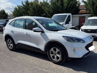 FORD Kuga 1.5 ecoblue Connect 2wd 120cv 1
