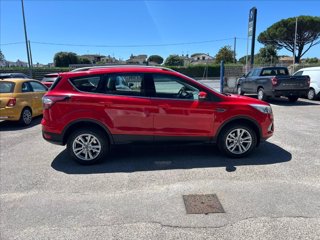 FORD Kuga 1.5 tdci Business s&s 2wd 120cv 8