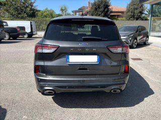 FORD Kuga 1.5 ecoblue ST-Line 2wd 120cv 3