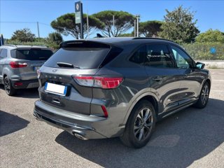FORD Kuga 1.5 ecoblue ST-Line 2wd 120cv 4