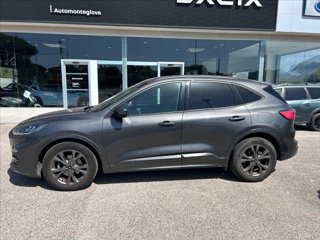 FORD Kuga 1.5 ecoblue ST-Line 2wd 120cv 6