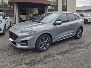 FORD Kuga 2.0 ecoblue ST-Line X 2wd 120cv auto 1