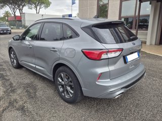 FORD Kuga 2.0 ecoblue ST-Line X 2wd 120cv auto 2