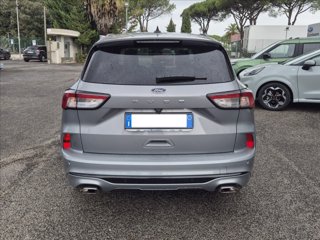FORD Kuga 2.0 ecoblue ST-Line X 2wd 120cv auto 3