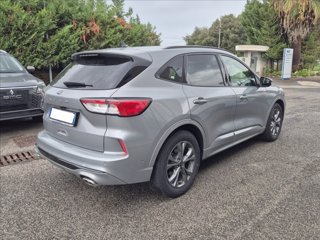 FORD Kuga 2.0 ecoblue ST-Line X 2wd 120cv auto 4
