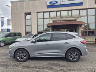 FORD Kuga 2.0 ecoblue ST-Line X 2wd 120cv auto 8